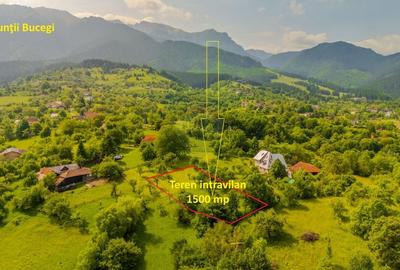 Teren intravilan, 1500 mp, Bran