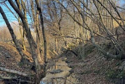 Spațiu comercial, în Feleacu - 5