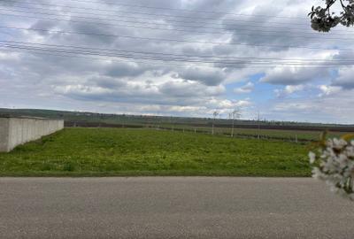 Teren de 10000 mp, în Exterior Vest - 2