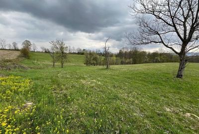 Spațiu comercial, în Central - 2