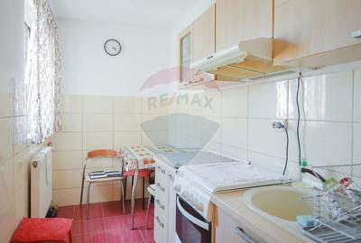 Apartament cu 2 camere de vanzare in zona Decebal - 4