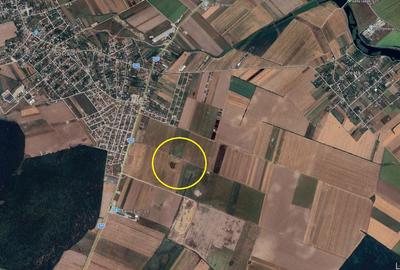 Teren de 32000 mp, în Dascălu