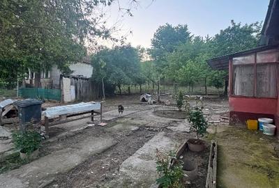 Casa cu teren comuna Calopar Sat Dalga - 10