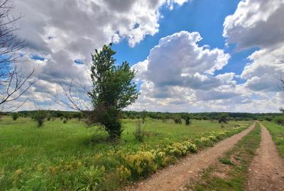 Teren JANDARMERIEI, Baneasa (sector 1) - 2