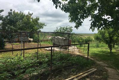 Casa de vanzare la cheie Comuna Traian, Jud. Teleorman Casa de vanzare la cheie Comuna Traian, Jud. Teleorman - 6