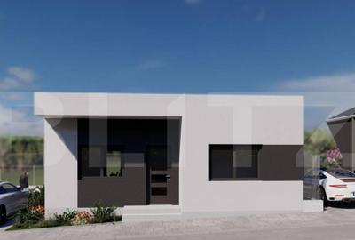 Case de vanzare - zona Viile Satu Mare - 11