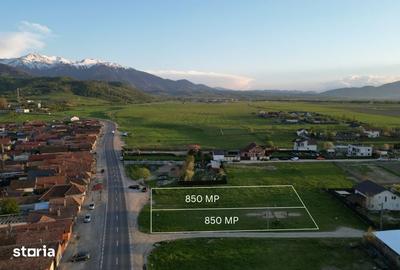 Teren de 850 mp, în Central - 5