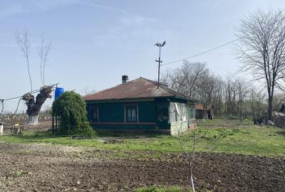 Casă cu 3 camere în Răsuceni - 1