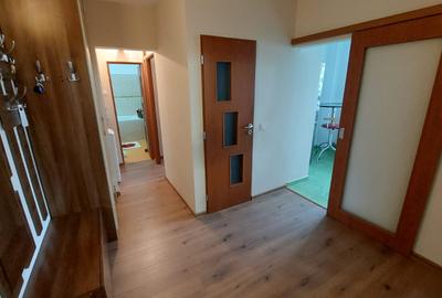 Apartament cu 2 camere in Tatarasi-Oancea-Spital Sf.Maria - 15