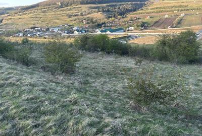 Spațiu comercial, în Vâlcele