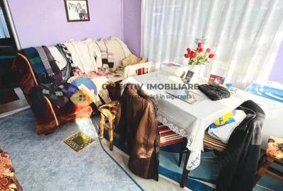 Casa tradi?ionala cu teren de vanzare Comuna ?tefan cel Mare - 5