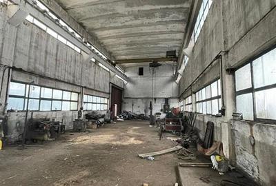 RECO Pensiune cu Spatiu Comercial in Pocola la 5km de Beius - 6