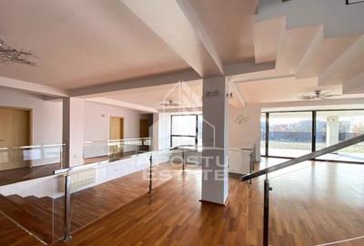 Spațiu comercial, de 650 mp, în Micălaca