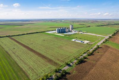 Teren de 104000 mp, în Vinga - 1
