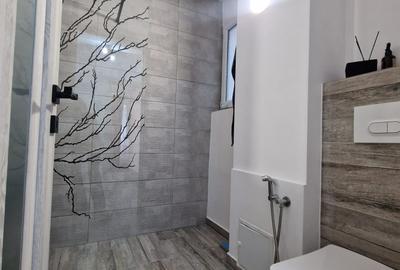 Sos. Viilor - Parc Carol - Apartament 2 camere - renovat - mobilat utilat modern - 8