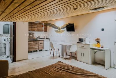 Garsonieră semidecomandată, mobilată în Central