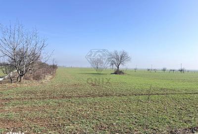 Teren de 3000 mp, în Central - 4