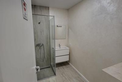Apartament/Birou 1cam Str. Basarabiei/ Central Park 2 - 4