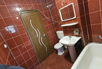 Apartament cu 2 camere decomandat în Bala de Sus - 6