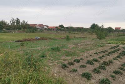 Teren de 1170 mp, în Ultracentral - 2