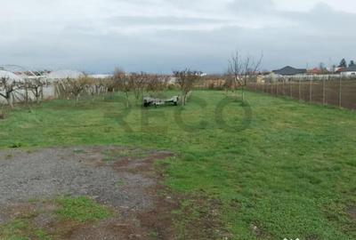 Casă cu 7 camere cu Teren 2203 Mp în Sântion - 15