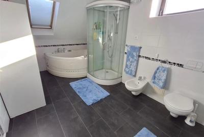Casa de lux cu 4 camere garaj in zona Tilisca - 6