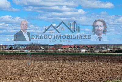 Teren extravilan 13.500 mp/ Valea Marului - 2