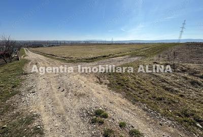 Teren de 680 mp, în Peștișu Mare - 2