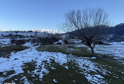 Spațiu comercial, în Central - 9