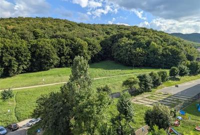 3D!Rezidenta decomandata,mobilata, accesorizata,priveliste montana,Racadau, Bras - 15