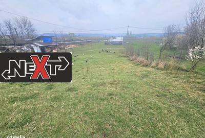 Spațiu comercial, în Bodești - 3