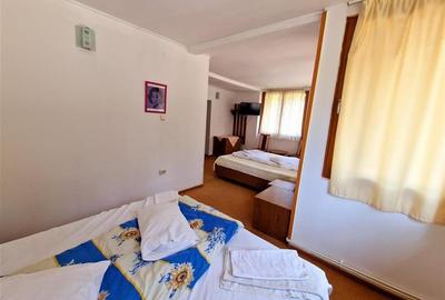 Oportunitate Ivestitie Vila Cioplea Predeal - 6