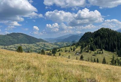 Teren de 169479 mp, în Fundu Moldovei - 3