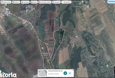 Teren de 24200 mp, în Muntenii de Jos - 4