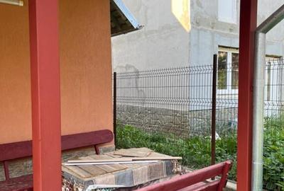 Vand apartment Busteni - 3