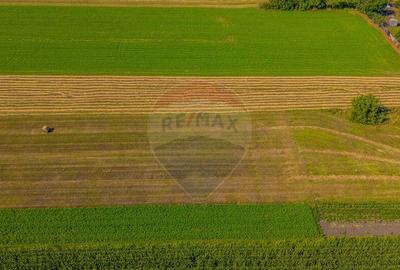 Teren de 3098 mp, în Stupini