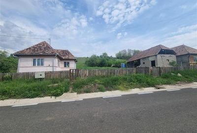 De vanzare casa  plus teren 70 arii, Bala, Jud Mures - 1