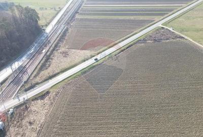 Teren de 19319 mp, în Hoghilag - 15