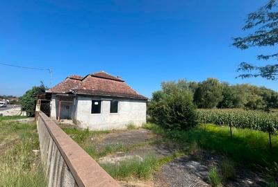 Casa si teren de vanzare cu potential horeca - 2