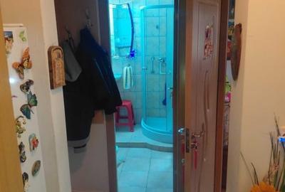 Apartament 2 camere - mobilat/utilat - PIATA DELFINULUI - 4