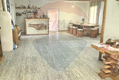 Casă individuală cu 6 camere cu Teren 2168 Mp în Săpânța - 8