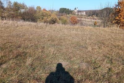 Teren agricol extravilan de 4000 mp, în Dragomirna - 6