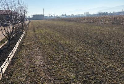 Teren Construcții intravilan de 6000 mp, în Stupini - 6