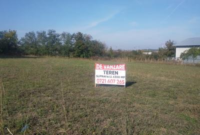 Teren în Dascălu - 3