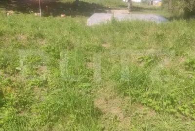 Casă cu 3 camere cu Teren 3500 Mp în Lechința - 1