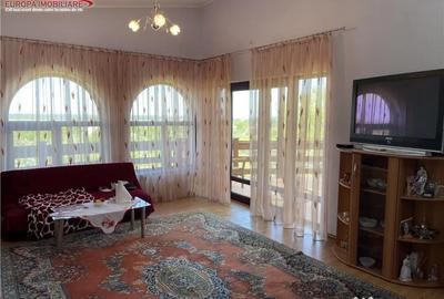 Casă cu 4 camere cu Teren 10000 Mp în Nufăru - 10