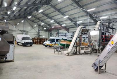 Spațiu industrial, de 1,120 mp, în Dumbrăveni - 23