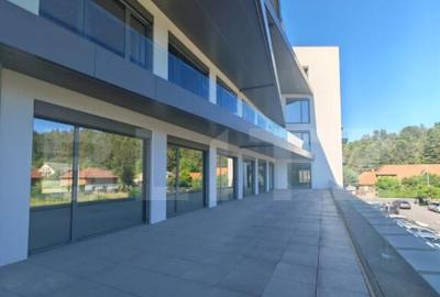 Spațiu comercial, de 1,260 mp, în Mănăștur - 3