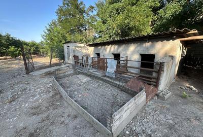 Casă cu 4 camere în Tătaru - 7