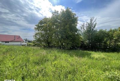 Spațiu comercial, în Cisnădioara - 4